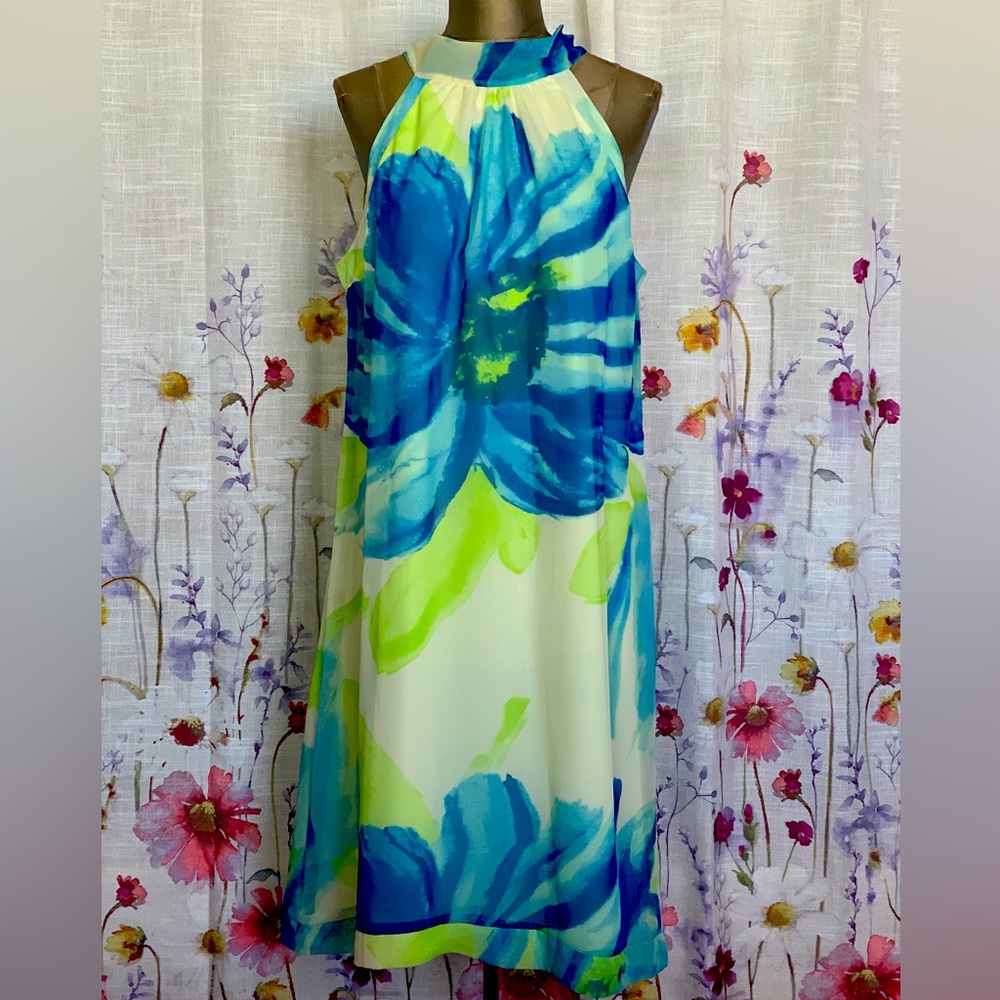 Jonathan Martin studio sleeveless dress